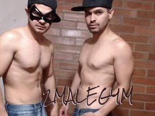 2MALEGYM