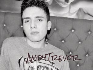 AndyTrevor Spicy Blogs