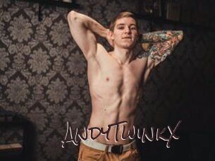 AndyTwinkX