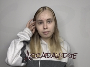 Accadavidge