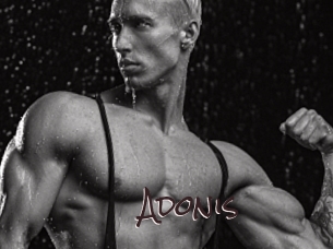 Adonis_