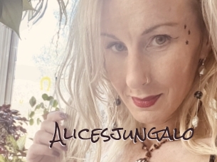 Alicesjungalo