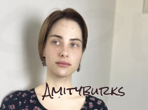 Amityburks