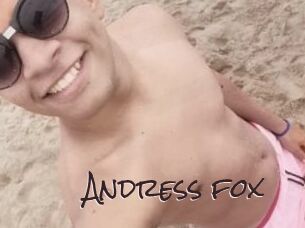 Andress_fox