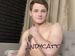 Andycatt