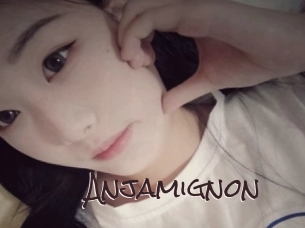 Anjamignon