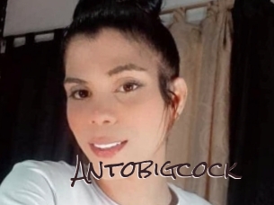 Antobigcock