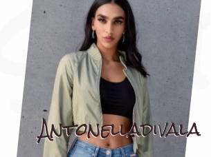 Antonelladivala