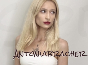 Antoniabracher