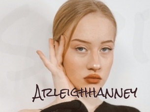 arleighhanney Spicy Blogs