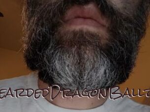 BeardedDragonBallz