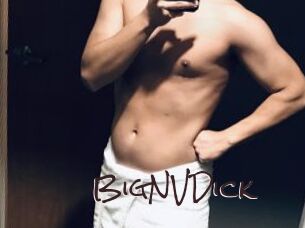 BigNVDick