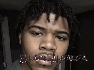 Black_Alfalfa