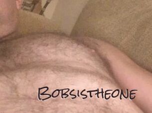 Bobsistheone