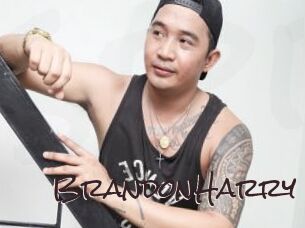 BrandonHarry Spicy Blogs