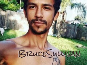 Bruce_Sullivan