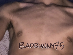 Badbunny75