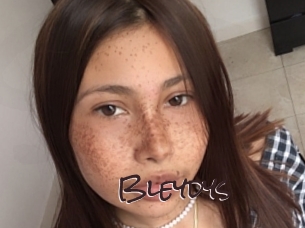 Bleydys