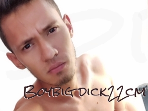 Boybig_dick22cm