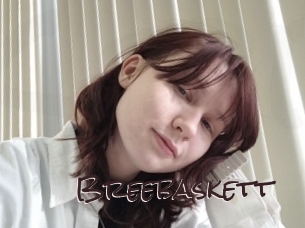 Breebaskett