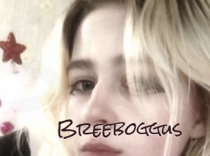 Breeboggus