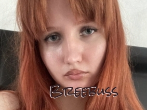 Breebuss