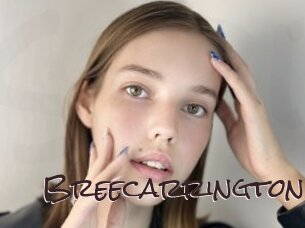 breecarrington Spicy Blogs