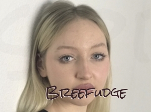 Breefudge