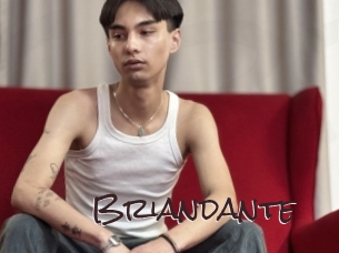 briandante Spicy Blogs