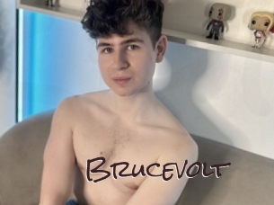 Brucevolt