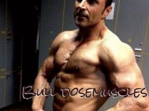 Bull_dosemuscles