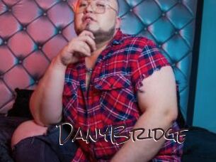 DanyBridge Spicy Blogs