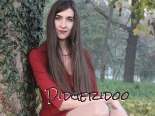 Didgeridoo