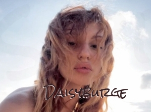 Daisyburge