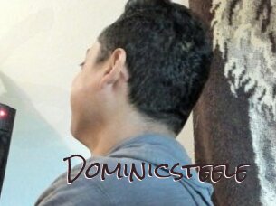 Dominicsteele