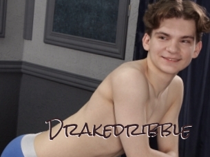 drakedribble Spicy Blogs