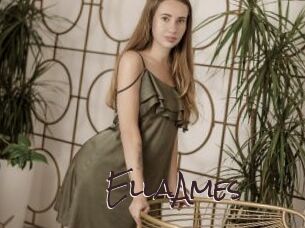 EllaAmes Spicy Blogs