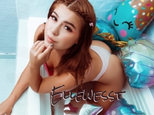 Ellewesst