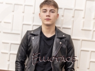 Elliotace