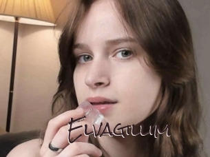 Elvagillim