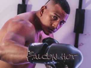 Falcon_hot