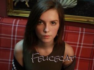 Felicecat