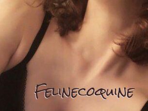 Felinecoquine