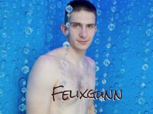 Felixgunn