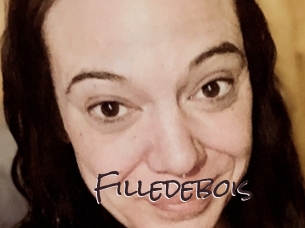 Filledebois