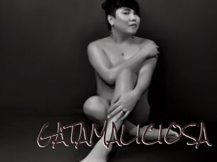 GATAMALICIOSA