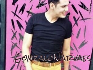 GonzaloNarvaes Spicy Blogs