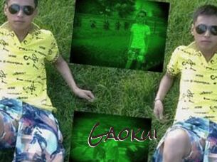 Gaokui