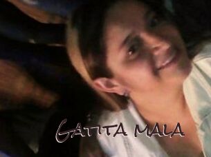 Gatita_mala