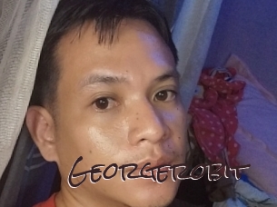 Georgerobit